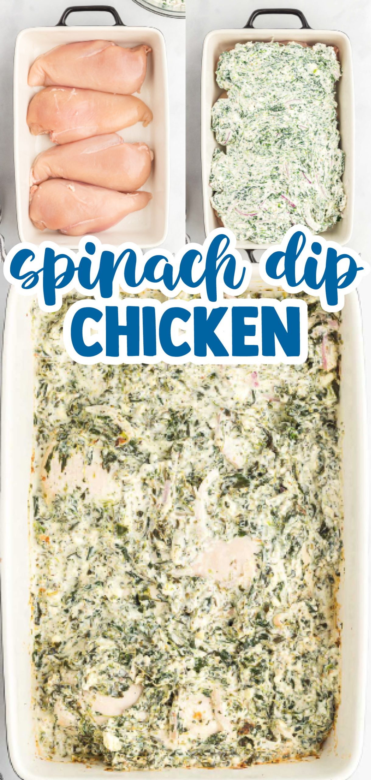Spinach Dip Chicken Bake is everything you love about spinach dip but made into a meal! Ultra creamy baked chicken smothered in a spinach cheese sauce. Baked to perfection in just about 45 minutes! 