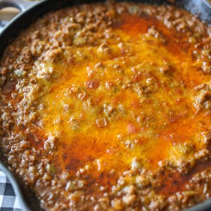 Sloppy Joe Dip is irresistible when served hot or warm. This versatile appetizer is a ground beef mixture that is a thicker, cheesier version of a sloppy joe and the perfect dip for toasted baguette slices.