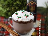 The ultimate Spiked Peppermint Hot Chocolate recipe is the best way for adults to celebrate the holiday season! Whether for Thanksgiving, Christmas, or the New Year, this is the PERFECT warm holiday cocktail to enjoy on a cold winter day!