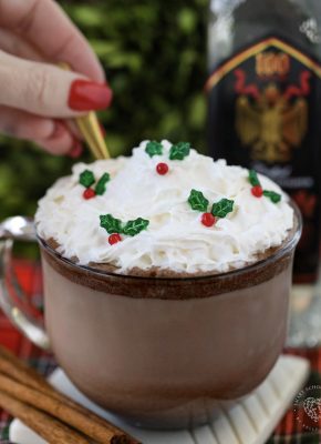 The ultimate Spiked Peppermint Hot Chocolate recipe is the best way for adults to celebrate the holiday season! Whether for Thanksgiving, Christmas, or the New Year, this is the PERFECT warm holiday cocktail to enjoy on a cold winter day!