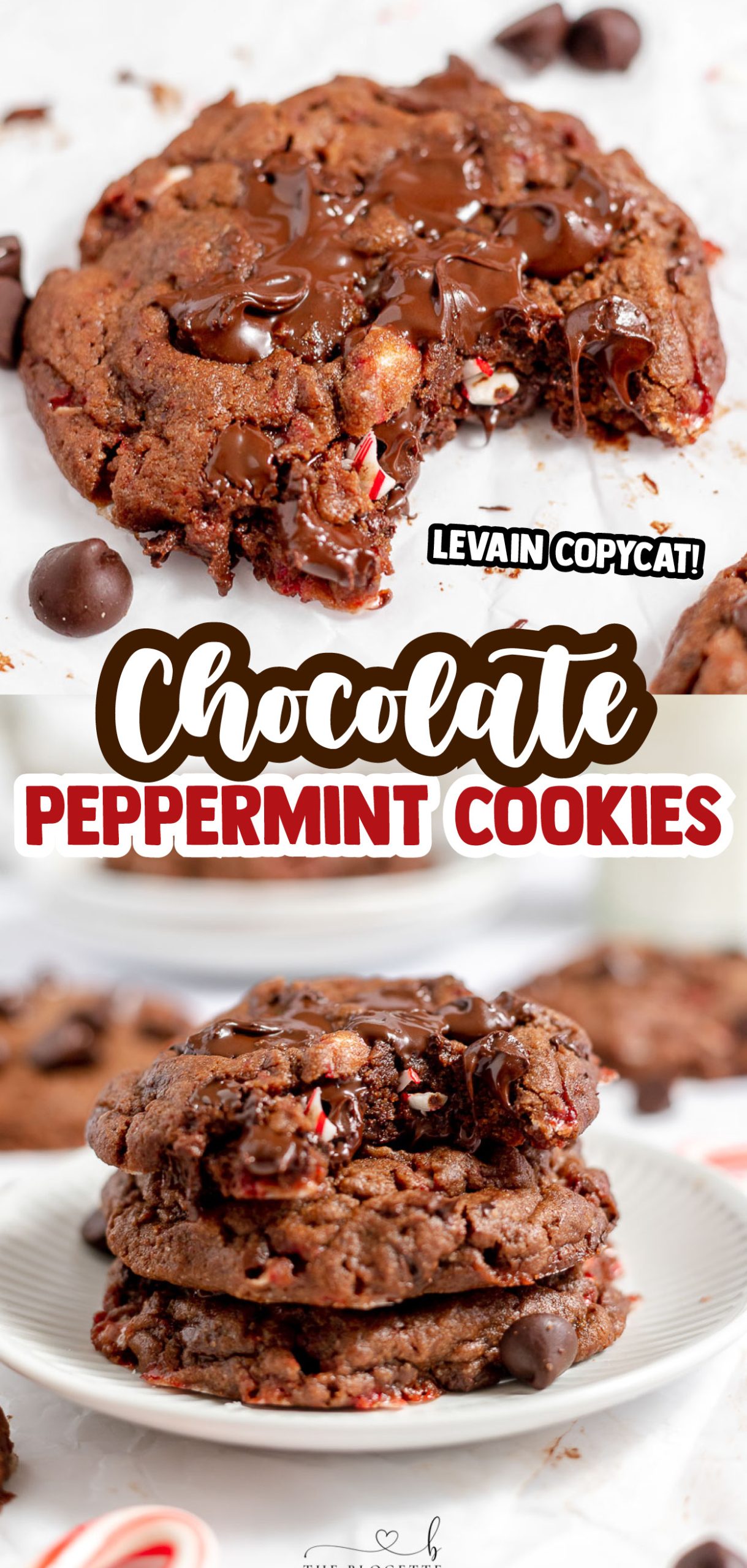 Dark Chocolate Peppermint Cookies are just like the luxe Levain Bakery recipe! Candy canes in the dark and rich chocolate dough make this an extra special Christmas cookie. Every bite gives you that warming, holiday feeling! 