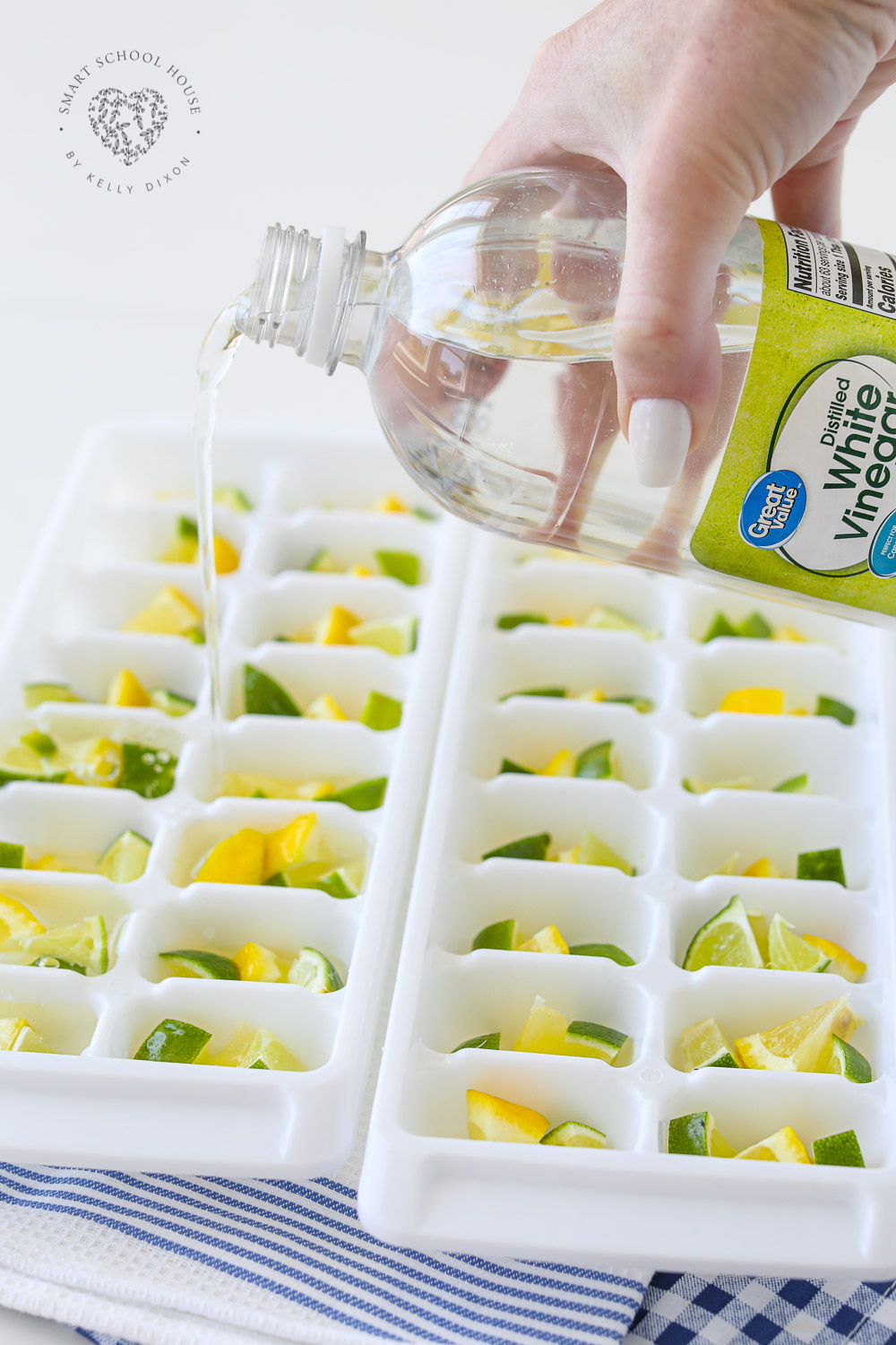 Vinegar and lemons and limes for garbage disposal