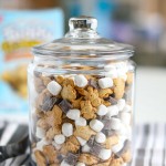 S'Mores Trail Mix is the perfect way to enjoy s'mores on the go! Perfect for summertime, camping, or all year long without a fire needed!