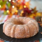 Apple Cider Donut Cake! Baked to perfection in a circle bundt cake pan, brushed with melted butter, and covered in a cinnamon sugar coating.