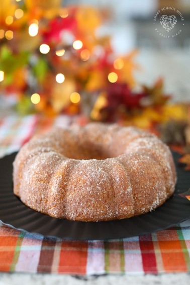 Apple Cider Donut Cake! Baked to perfection in a circle bundt cake pan, brushed with melted butter, and covered in a cinnamon sugar coating.