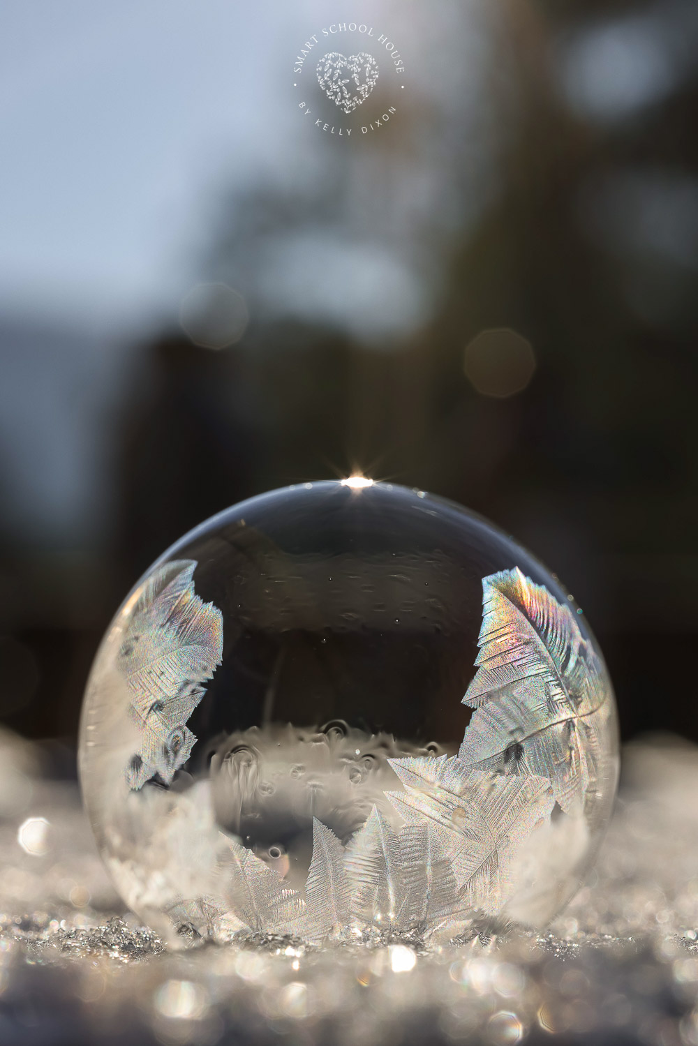 How to freeze bubbles outside! Make THE BEST frozen bubbles with this homemade bubble solution. Look at how beautiful these bubbles are!