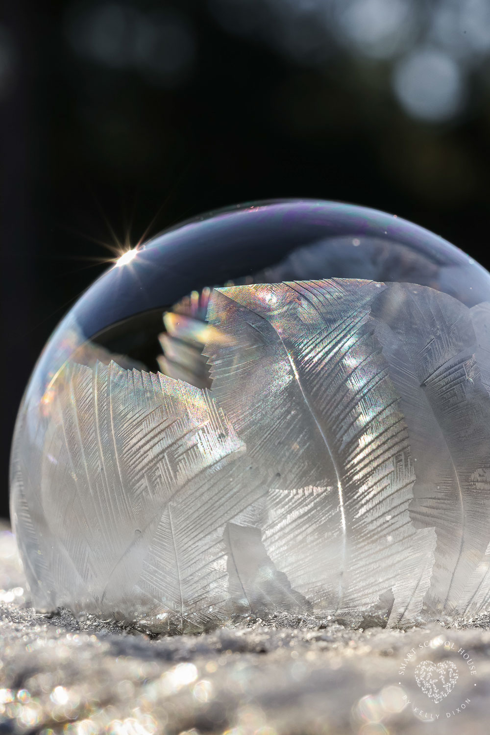 Freezing bubble solution