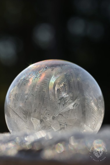 Freezing bubble solution
