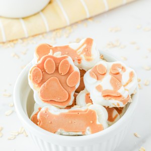 Frozen Yogurt Dog Treats made with peanut butter, yogurt, and oats are the perfect warm-weather treats for your furry friend.