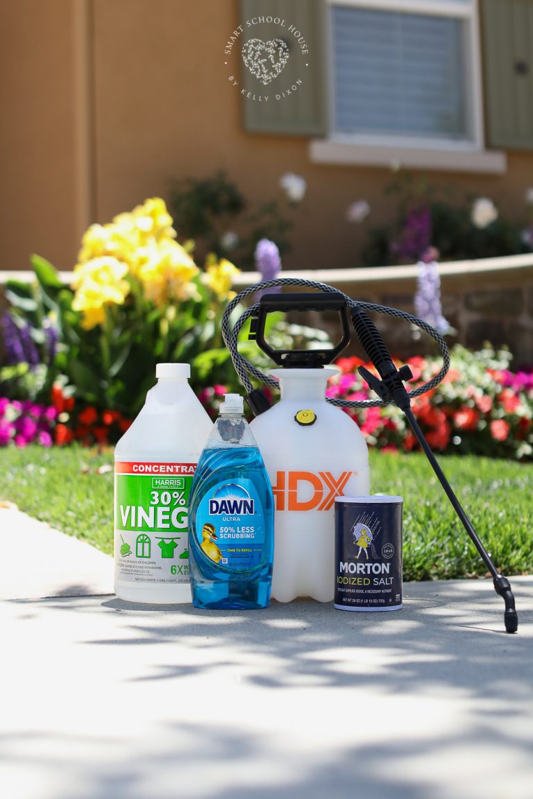 Homemade Weed Killer Recipe: Easy, Effective, And Cheap